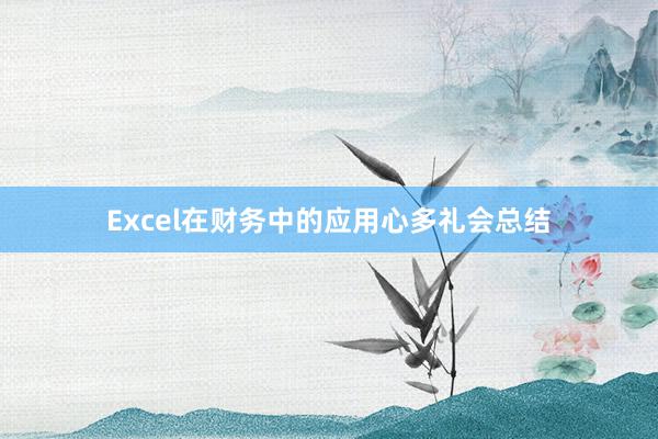 Excel在财务中的应用心多礼会总结